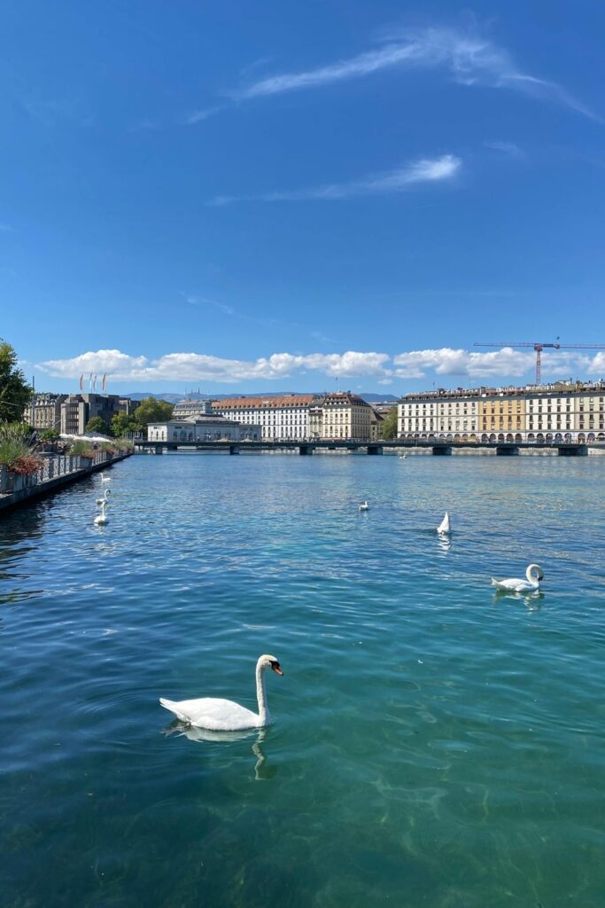 private-driver-chauffeur-geneva